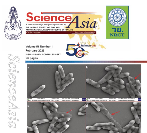 cover-image