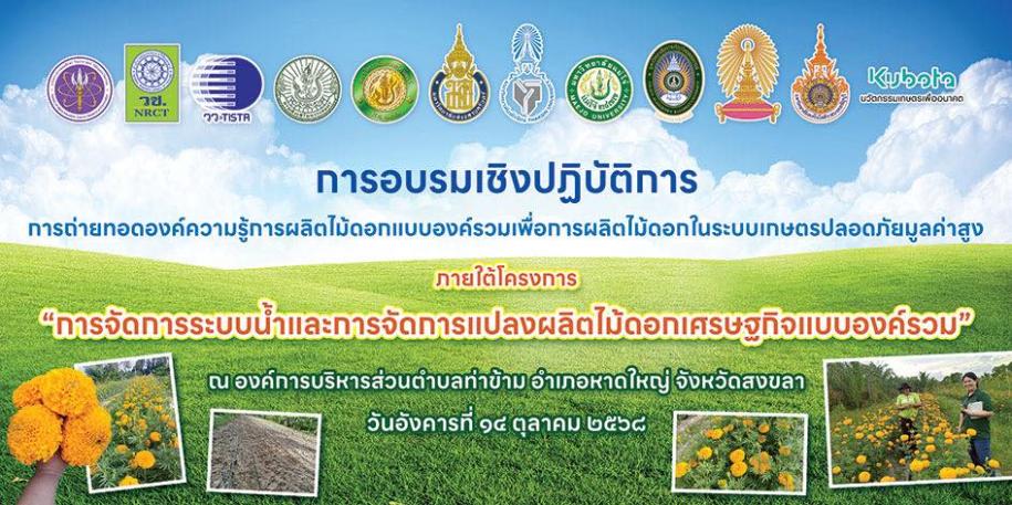 cover-image