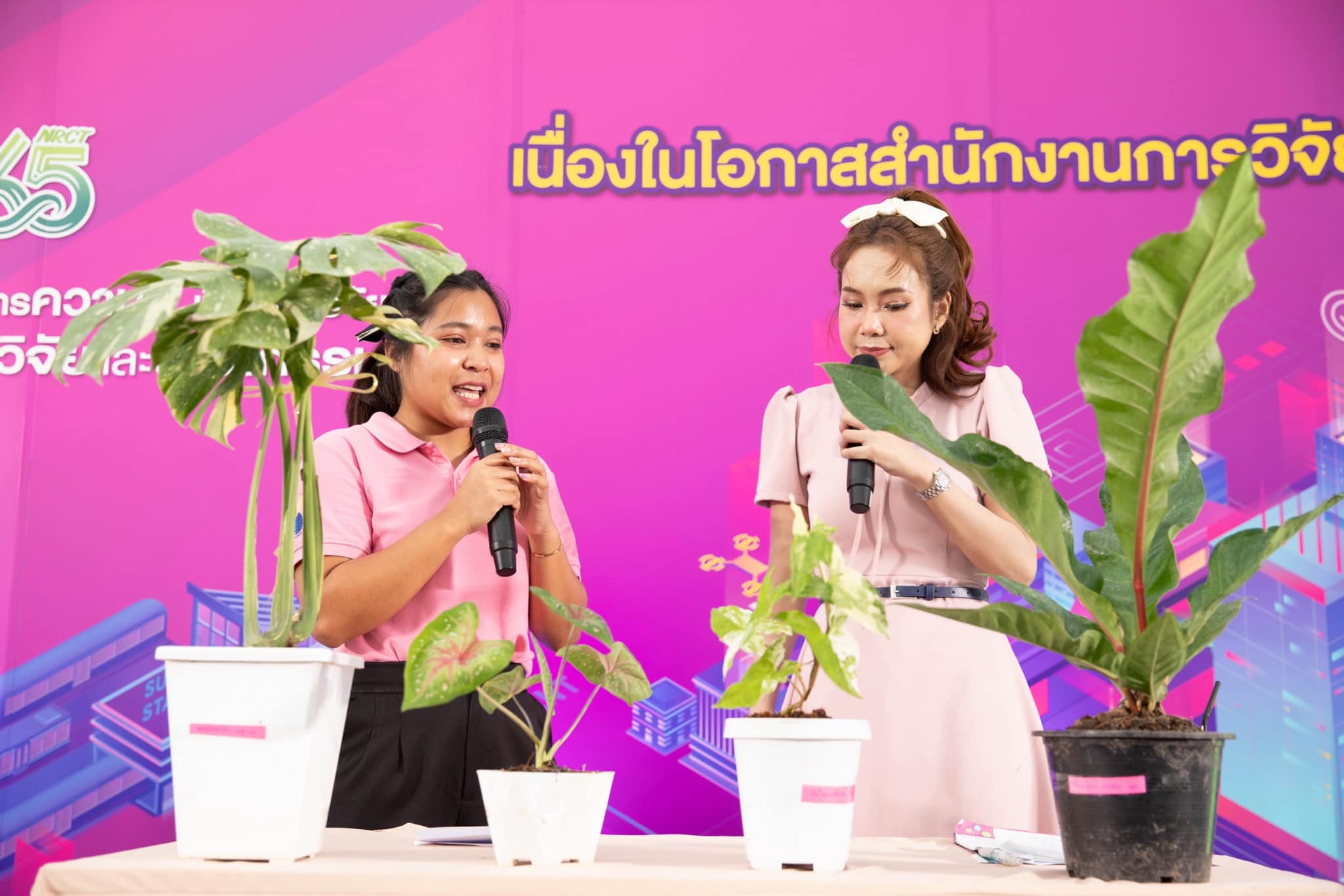 รายละเอียดตำแหน่งงาน