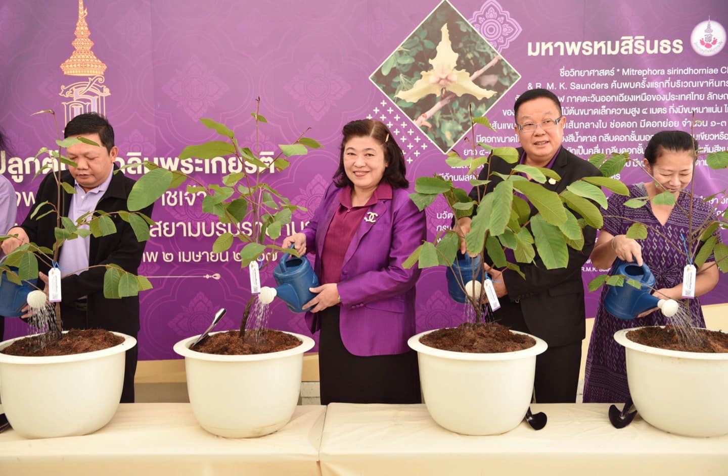 รายละเอียดตำแหน่งงาน