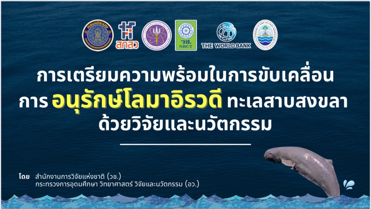 รายละเอียดตำแหน่งงาน