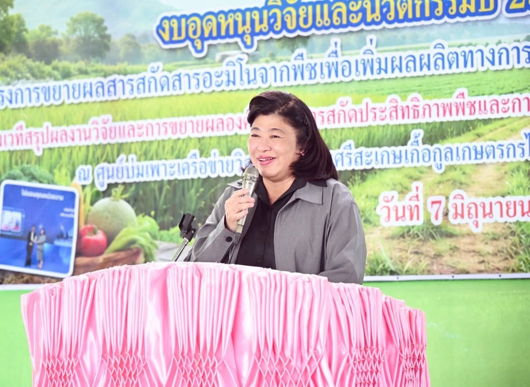 รายละเอียดตำแหน่งงาน